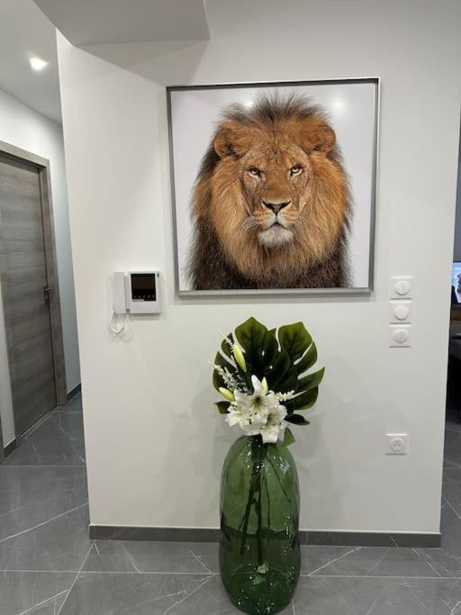 Apartment Lahoucine *